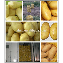 Organic potatoes fresh from Chinese potato seller